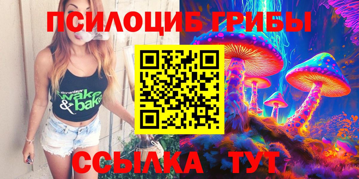 Псилоцибиновые грибы Cubensis Муравленко